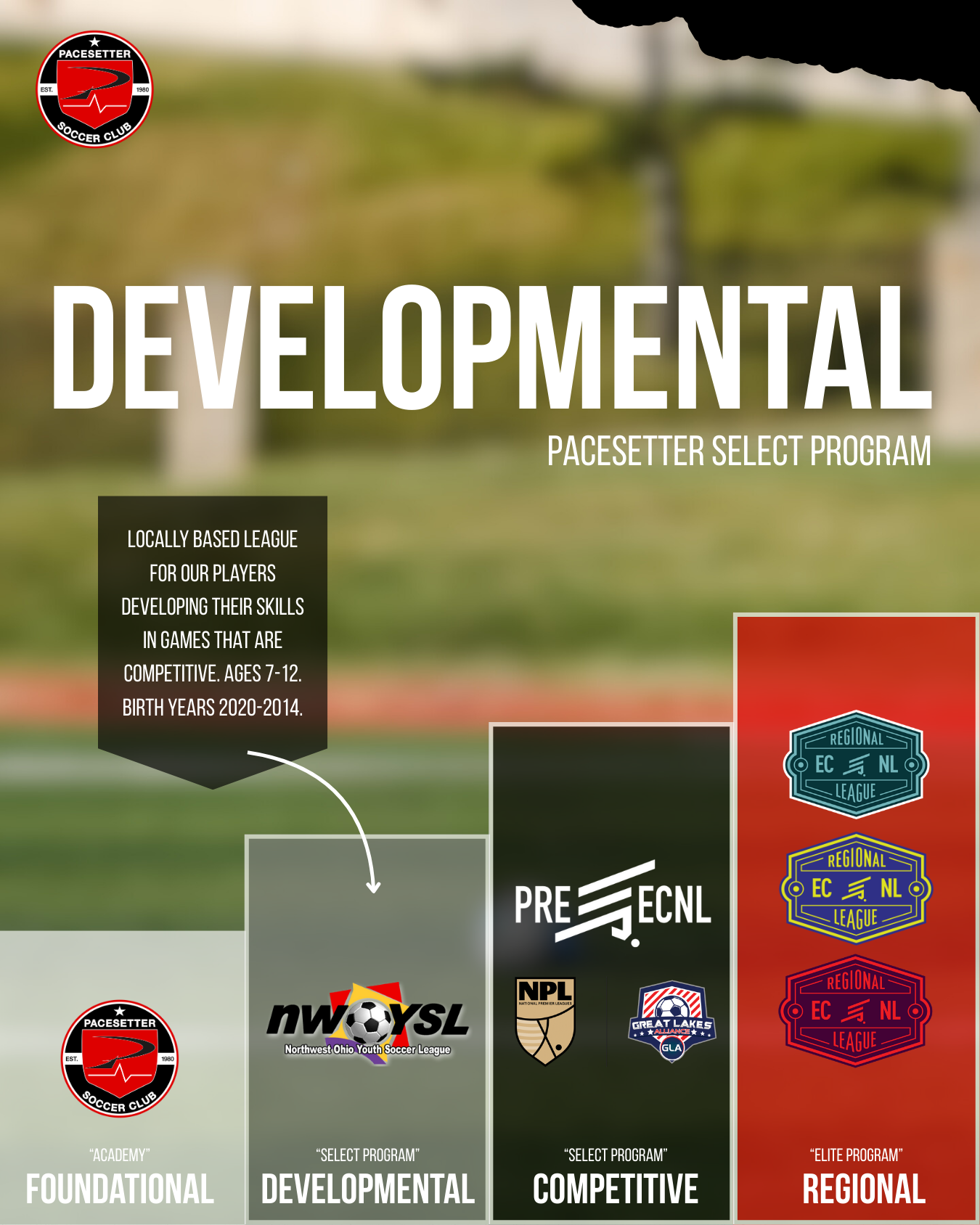 Pacesetter Development Pathway-Developmental (2)